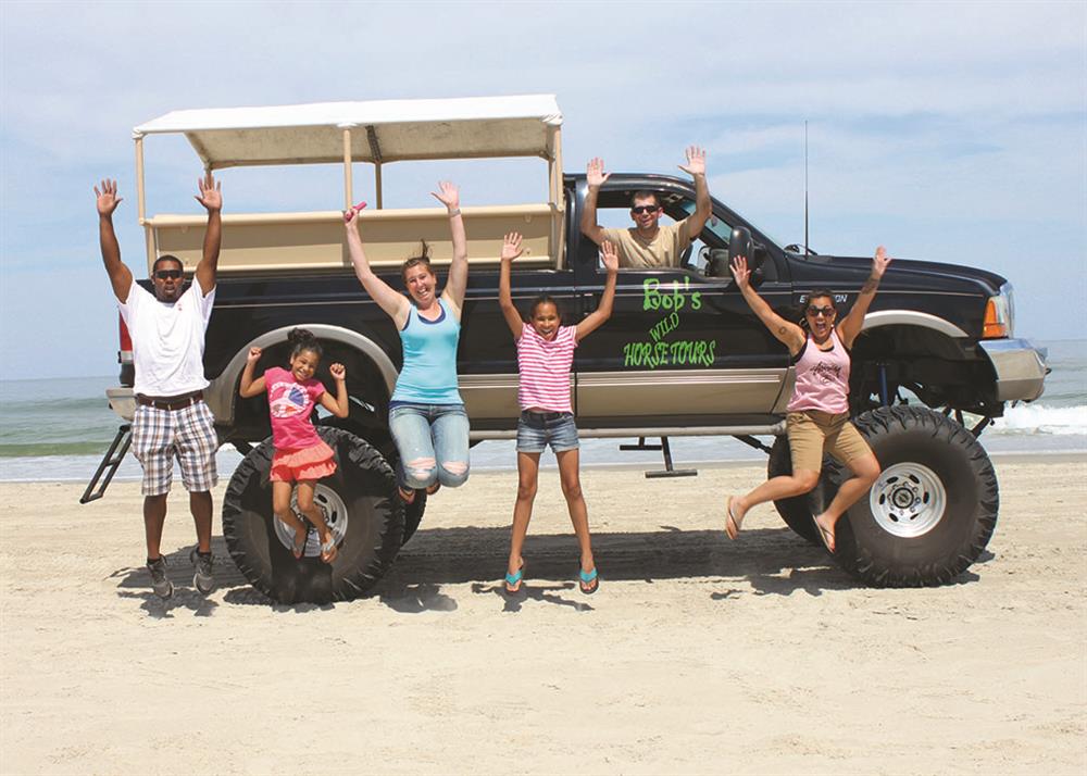 Back Beach Wild Horse Tours