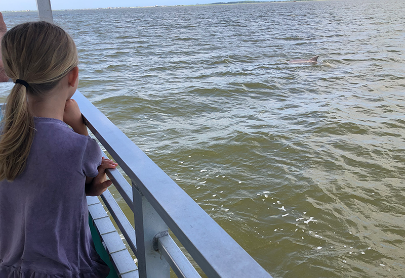 Captain Johnny's Dolphin Watch