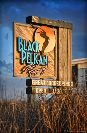 Black Pelican